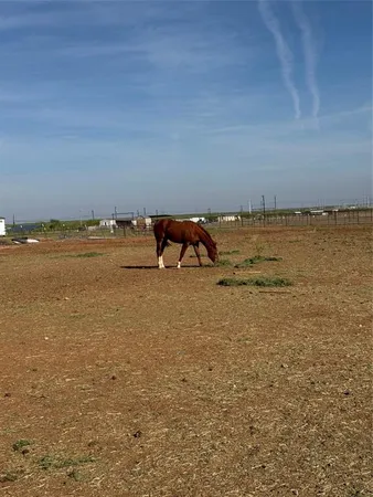 $4,000 | 4435 Hayter Road, Abilene, TX 79601