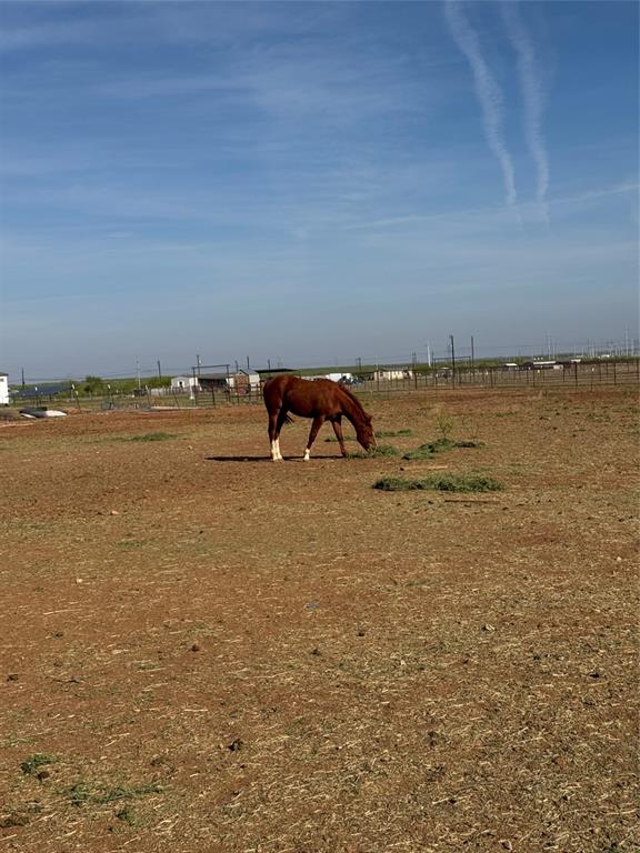 4435 Hayter Road Abilene, TX 79601 - Photo 24 of 31