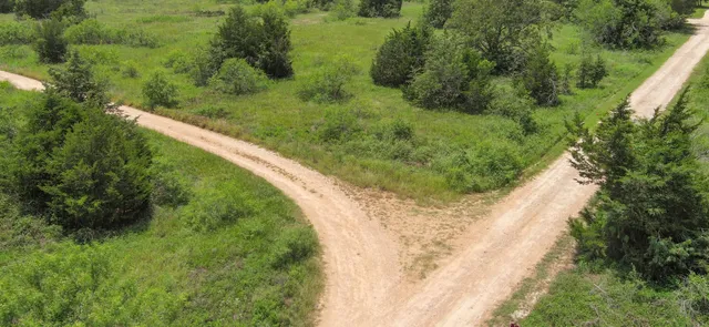 a view of a lush green forest with lots of trees