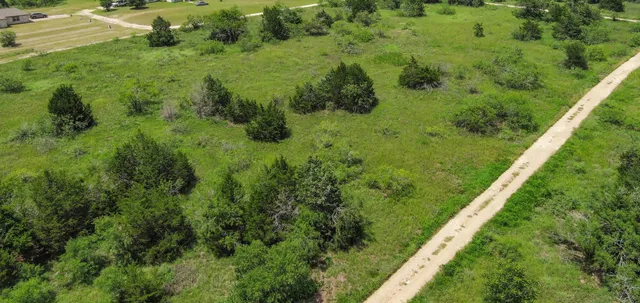 a view of a garden with a building