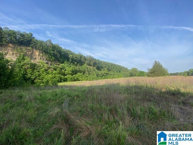 0 Highway 231, Unit 88 / AC Cleveland, AL 35049 - Photo 13 of 20