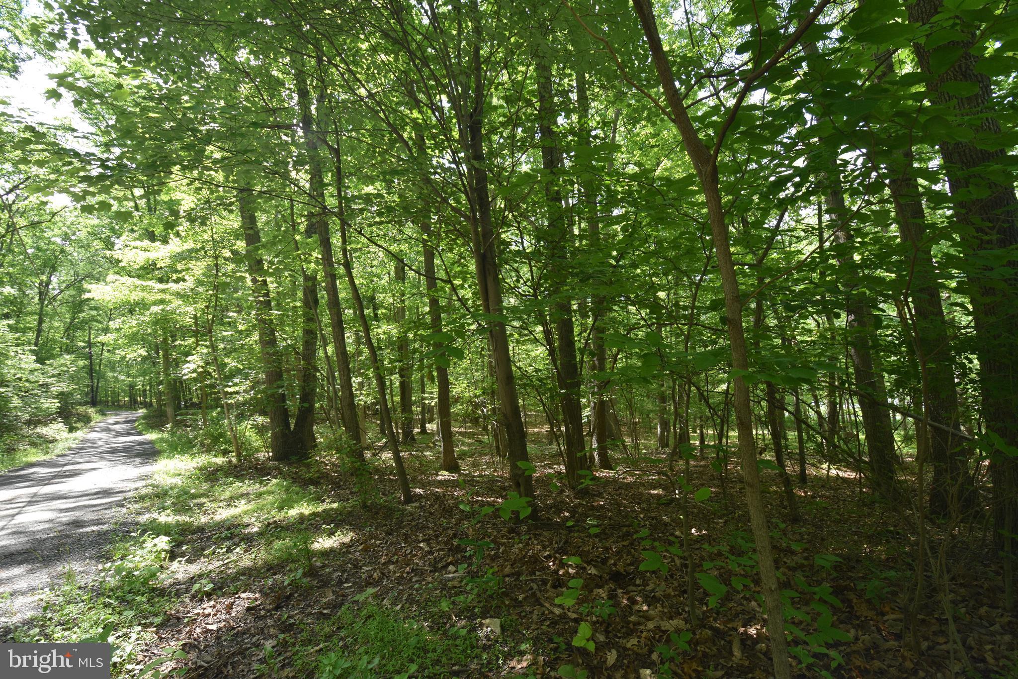 0 Laurel Run Road Dillsburg, PA 17019 - Photo 1 of 12 Gallery Image 1