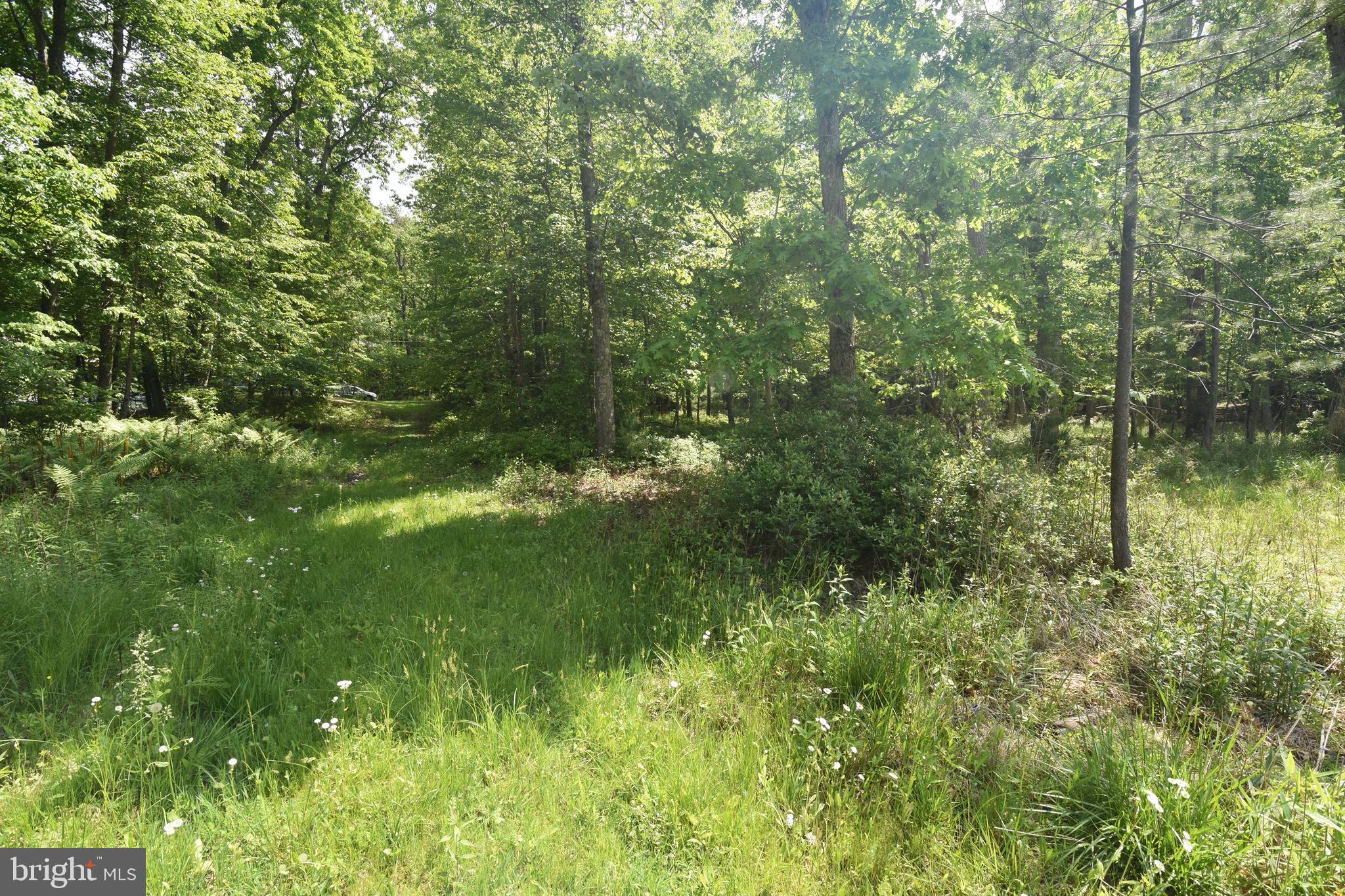 0 Laurel Run Road Dillsburg, PA 17019 - Photo 11 of 12 Gallery Image 11