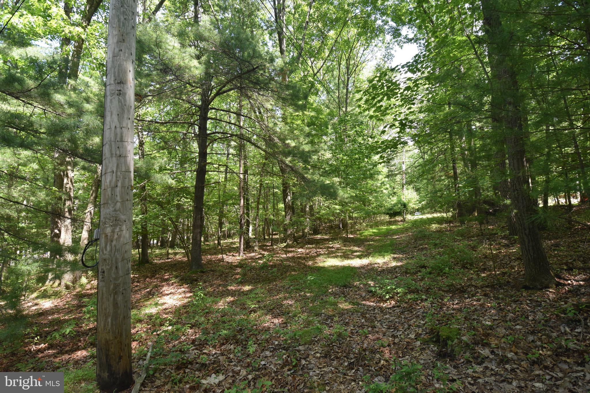 0 Laurel Run Road Dillsburg, PA 17019 - Photo 12 of 12 Gallery Image 12