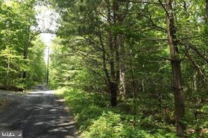 0 Laurel Run Road Dillsburg, PA 17019 - Photo 2 of 12 Gallery Image 2