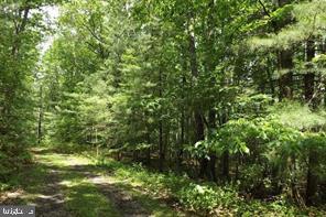 0 Laurel Run Road Dillsburg, PA 17019 - Photo 3 of 12 Gallery Image 3
