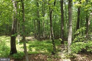 0 Laurel Run Road Dillsburg, PA 17019 - Photo 5 of 12 Gallery Image 5