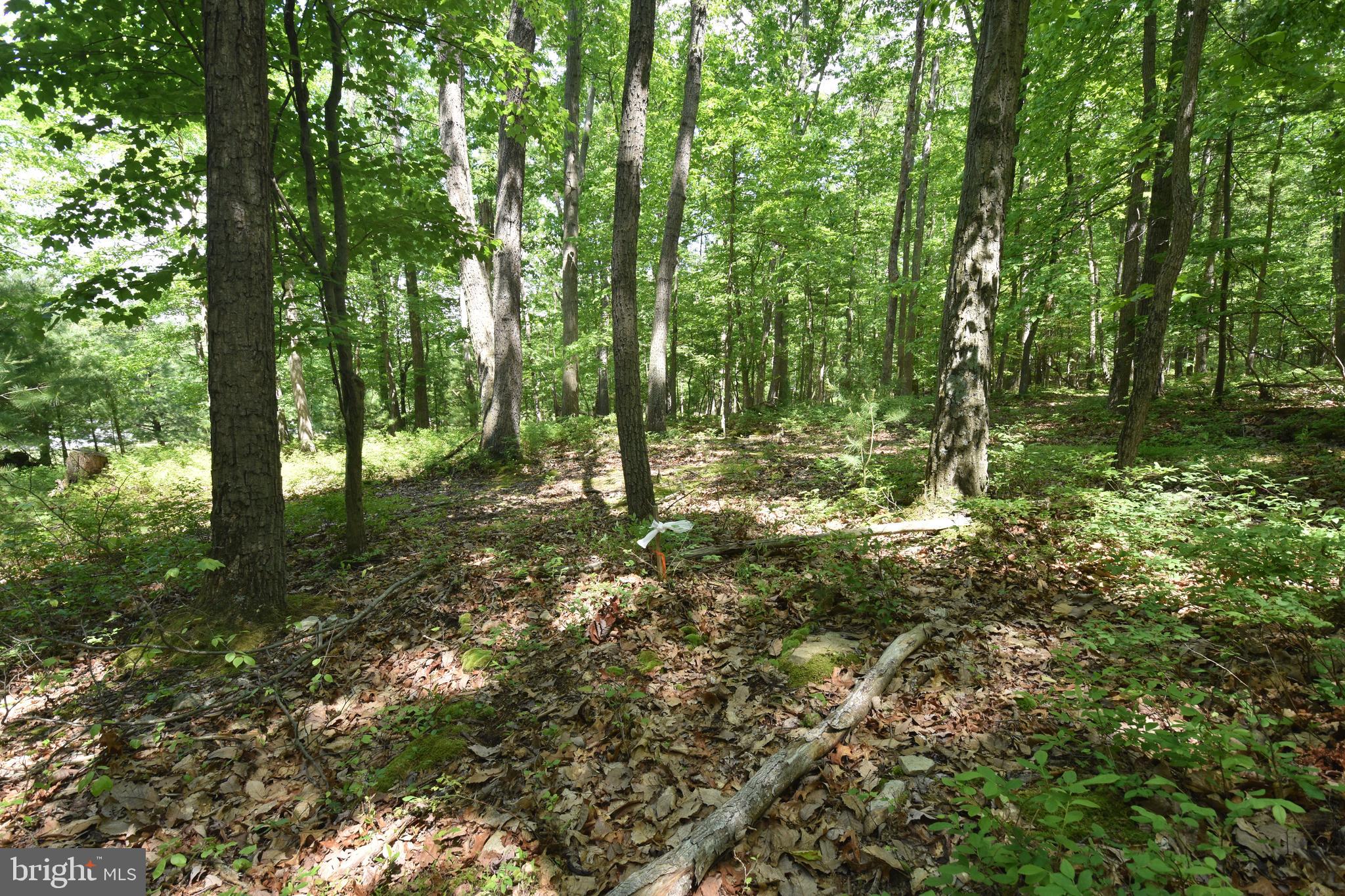 0 Laurel Run Road Dillsburg, PA 17019 - Photo 6 of 12 Gallery Image 6