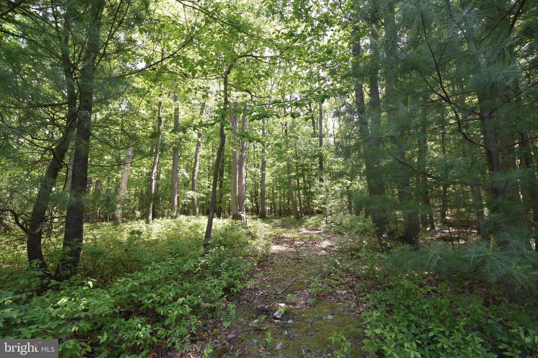 0 Laurel Run Road Dillsburg, PA 17019 - Photo 7 of 12 Gallery Image 7