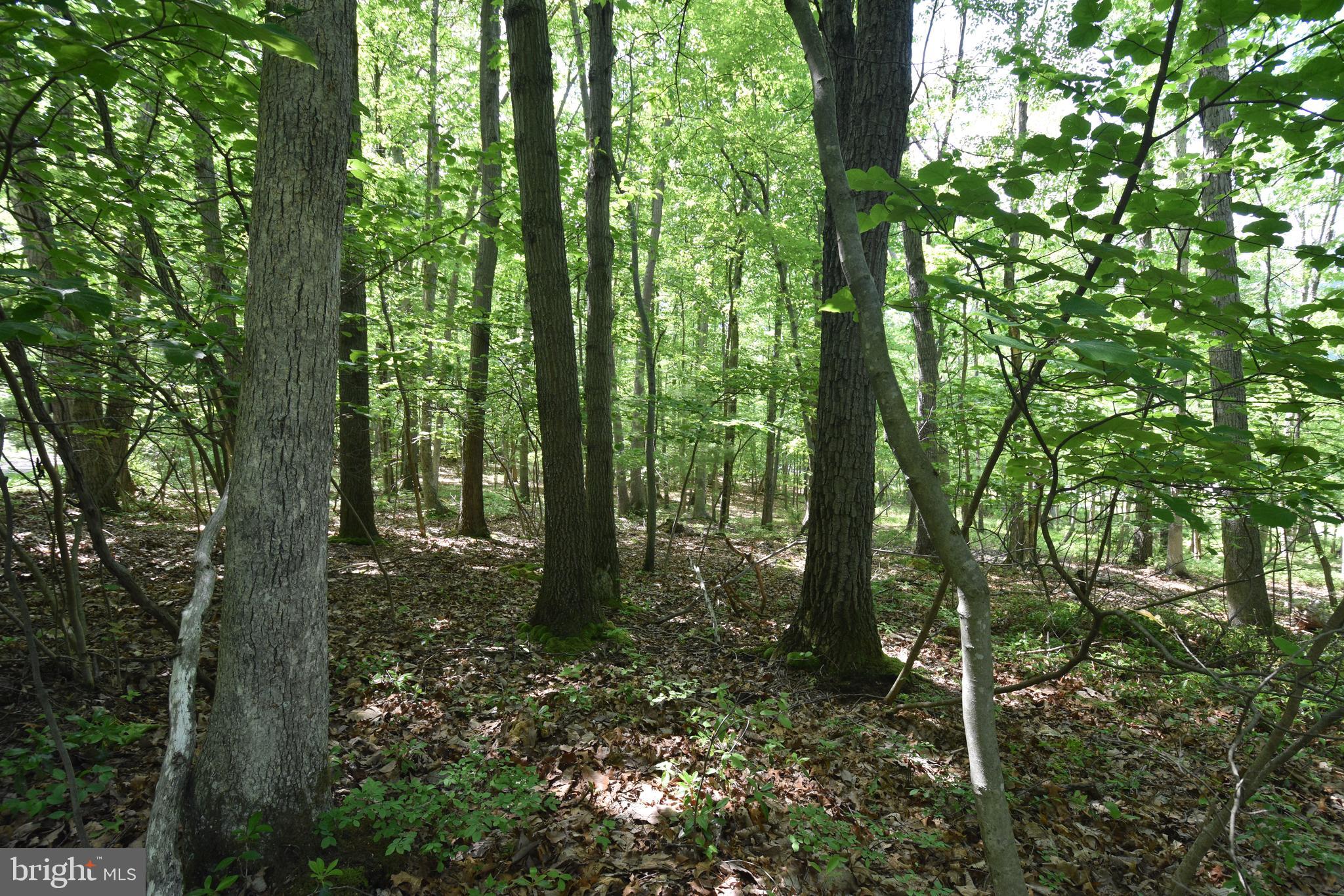 0 Laurel Run Road Dillsburg, PA 17019 - Photo 8 of 12 Gallery Image 8