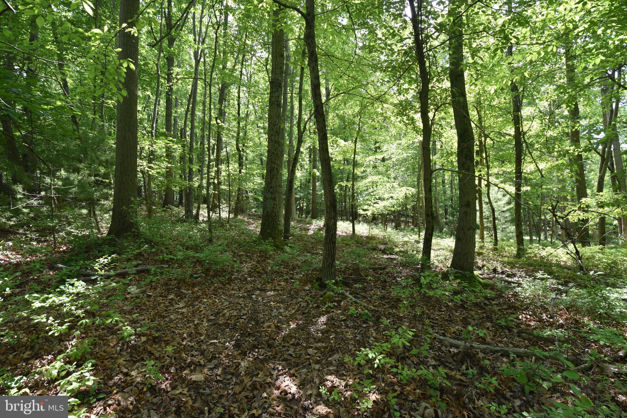 0 Laurel Run Road Dillsburg, PA 17019 - Photo 9 of 12 Gallery Image 9