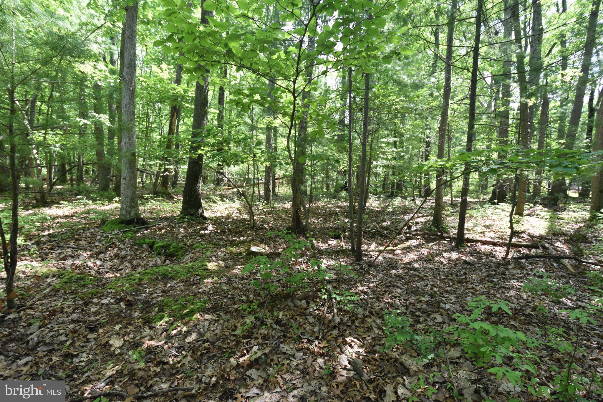 0 Laurel Run Road Dillsburg, PA 17019 - Photo 10 of 12 Gallery Image 10