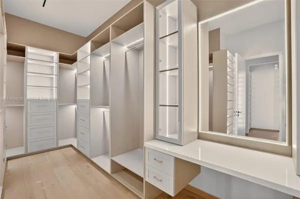 a view of front door with hallway and closet