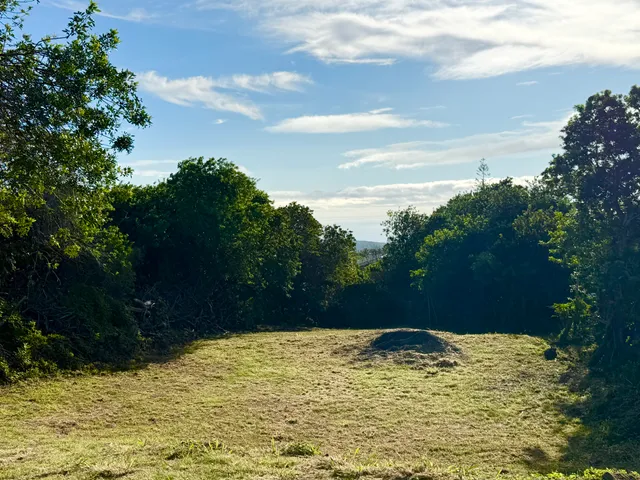 $100,000 | 5 Kuamo'o Road, Naalehu, HI 96772