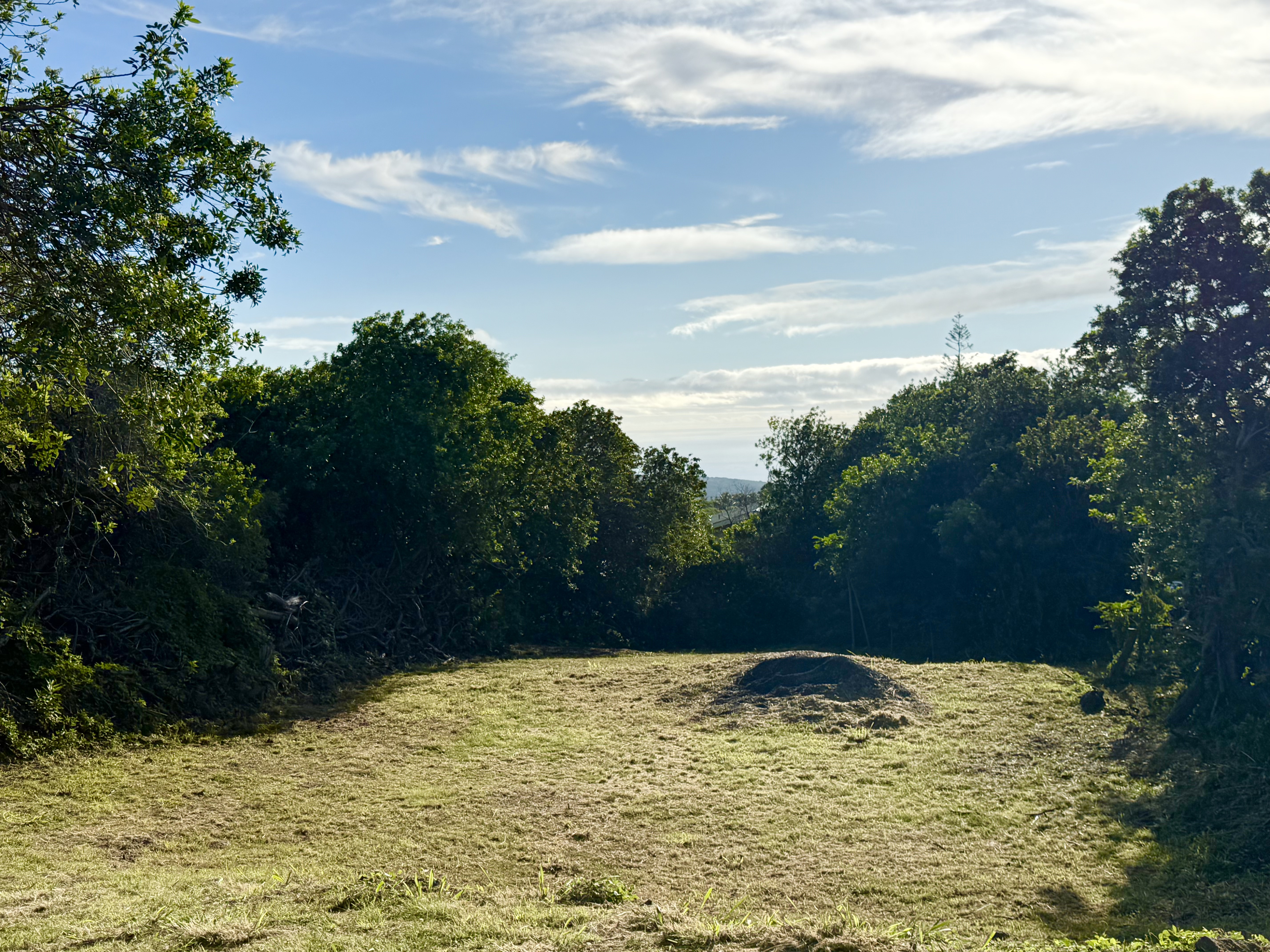 5 Kuamo'o Road Naalehu, HI 96772 - Photo 6 of 6 a view of a yard