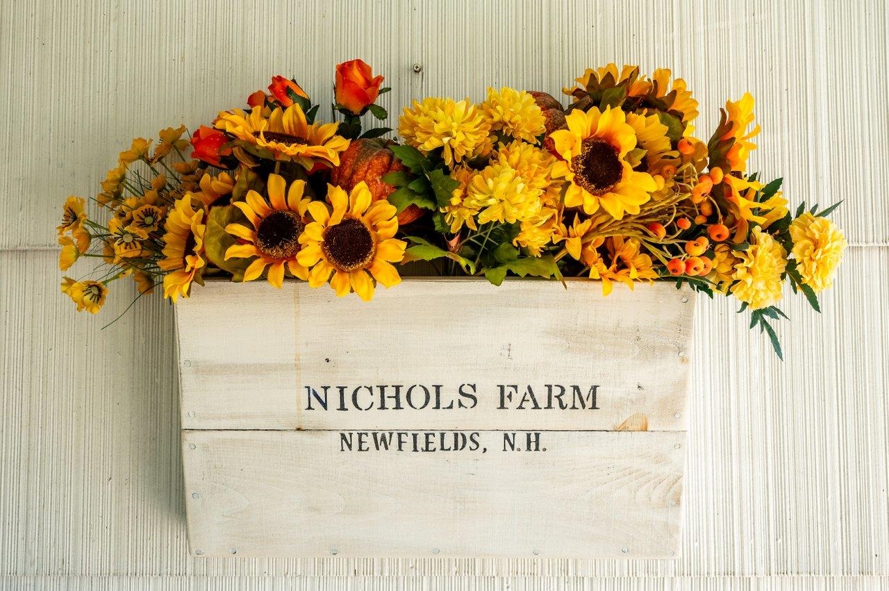 323 Piscassic Road Newfields, NH 03856 - Photo 54 of 54