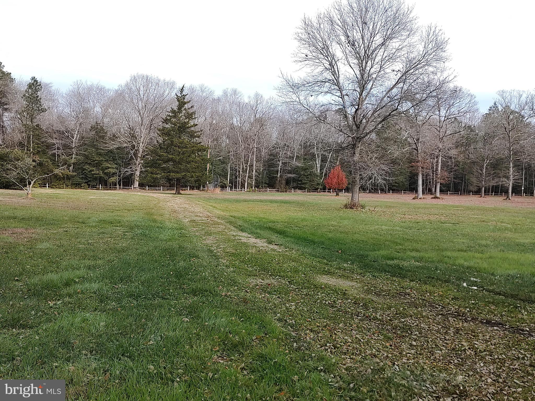 8591 Williams Mill Pond Road Delmar, MD 21875 - Photo 7 of 44