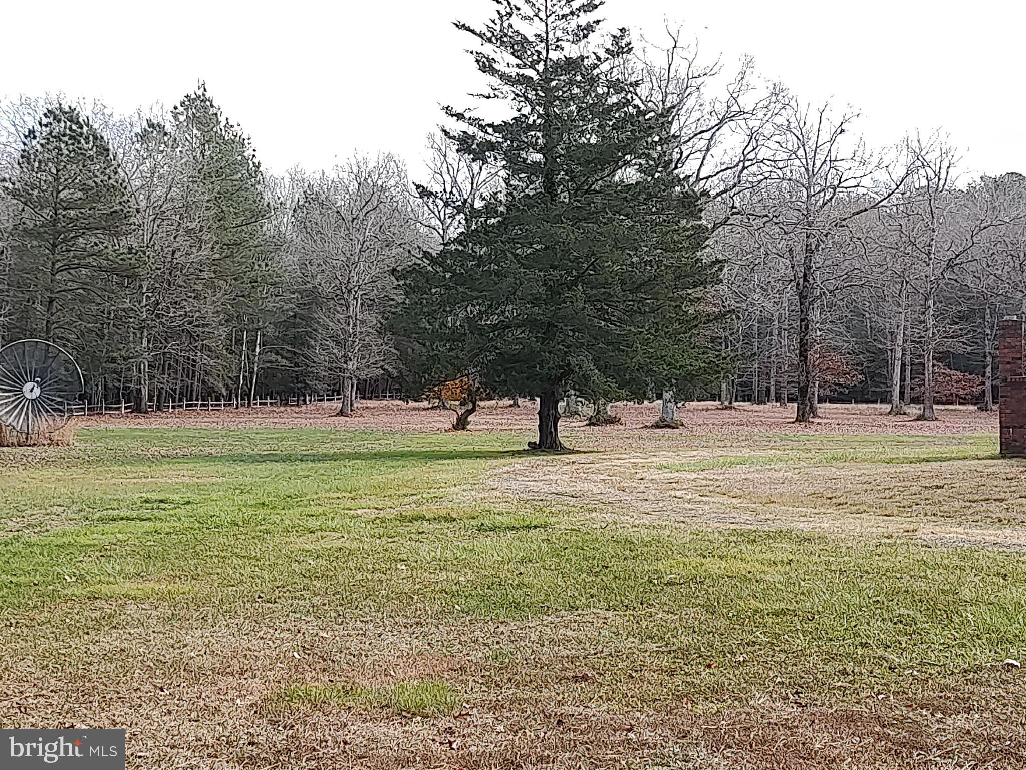 8591 Williams Mill Pond Road Delmar, MD 21875 - Photo 8 of 44