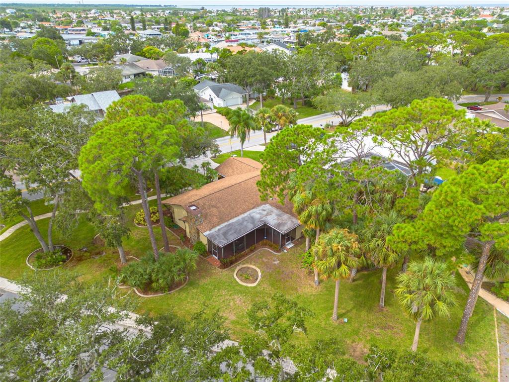 4415 Marine Parkway New Port Richey, FL 34652 - Photo 36 of 61 a view of yard