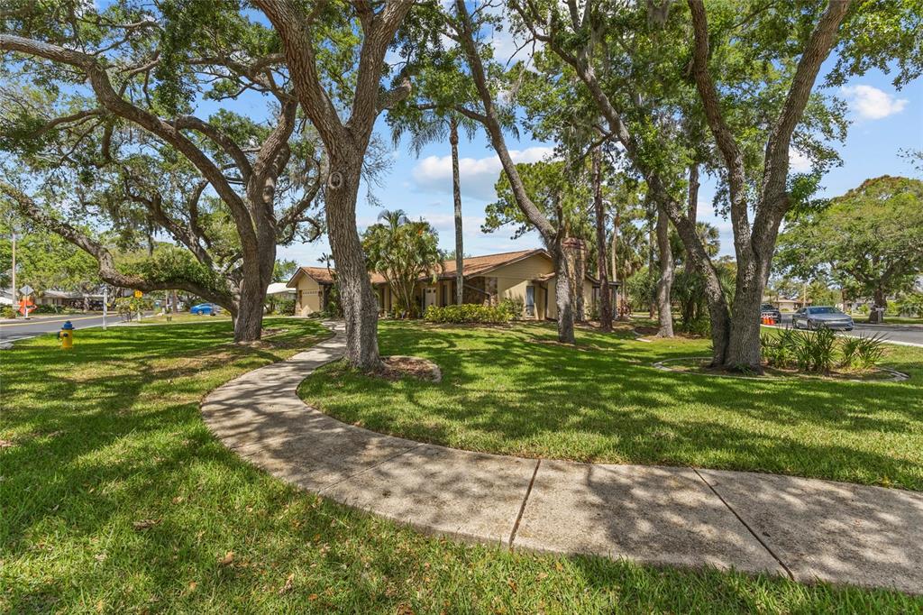 4415 Marine Parkway New Port Richey, FL 34652 - Photo 4 of 72 a view of a park with large trees