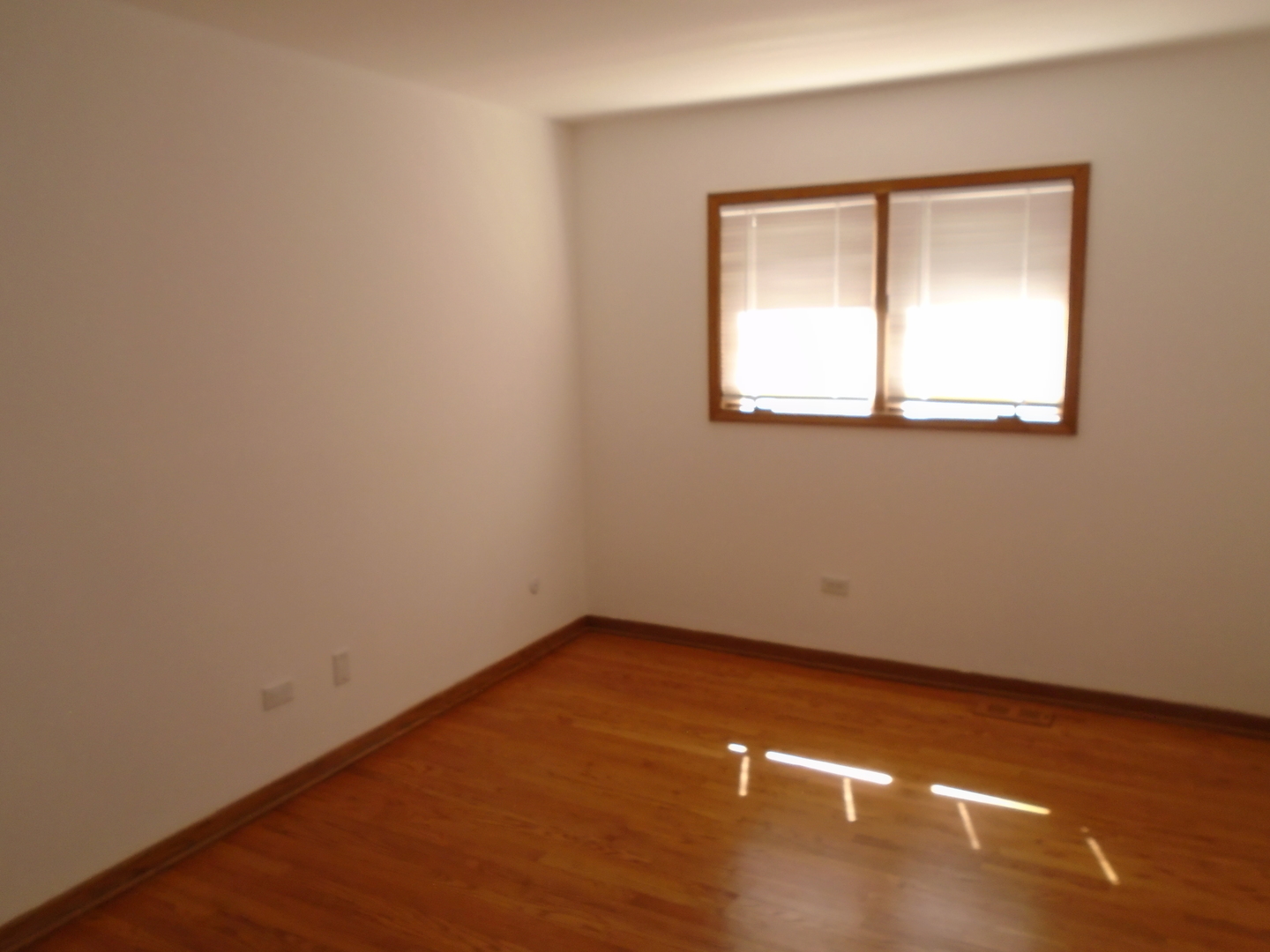 8652 West Sunset Road Niles, IL 60714 - Photo 12 of 20