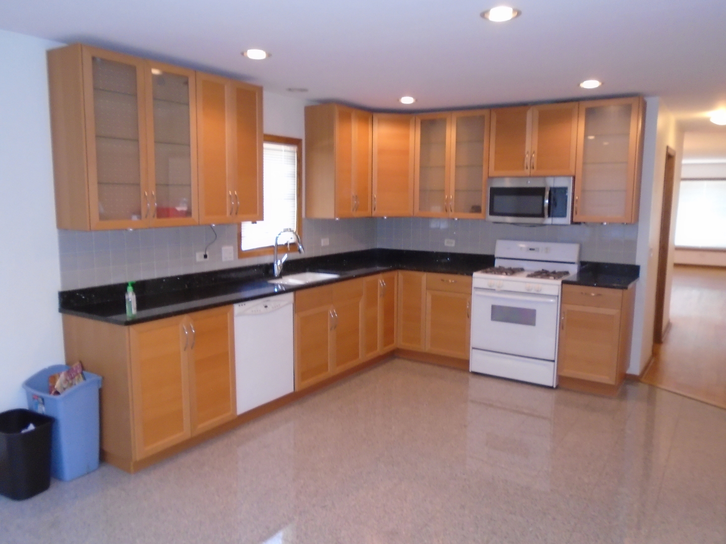 8652 West Sunset Road Niles, IL 60714 - Photo 3 of 20