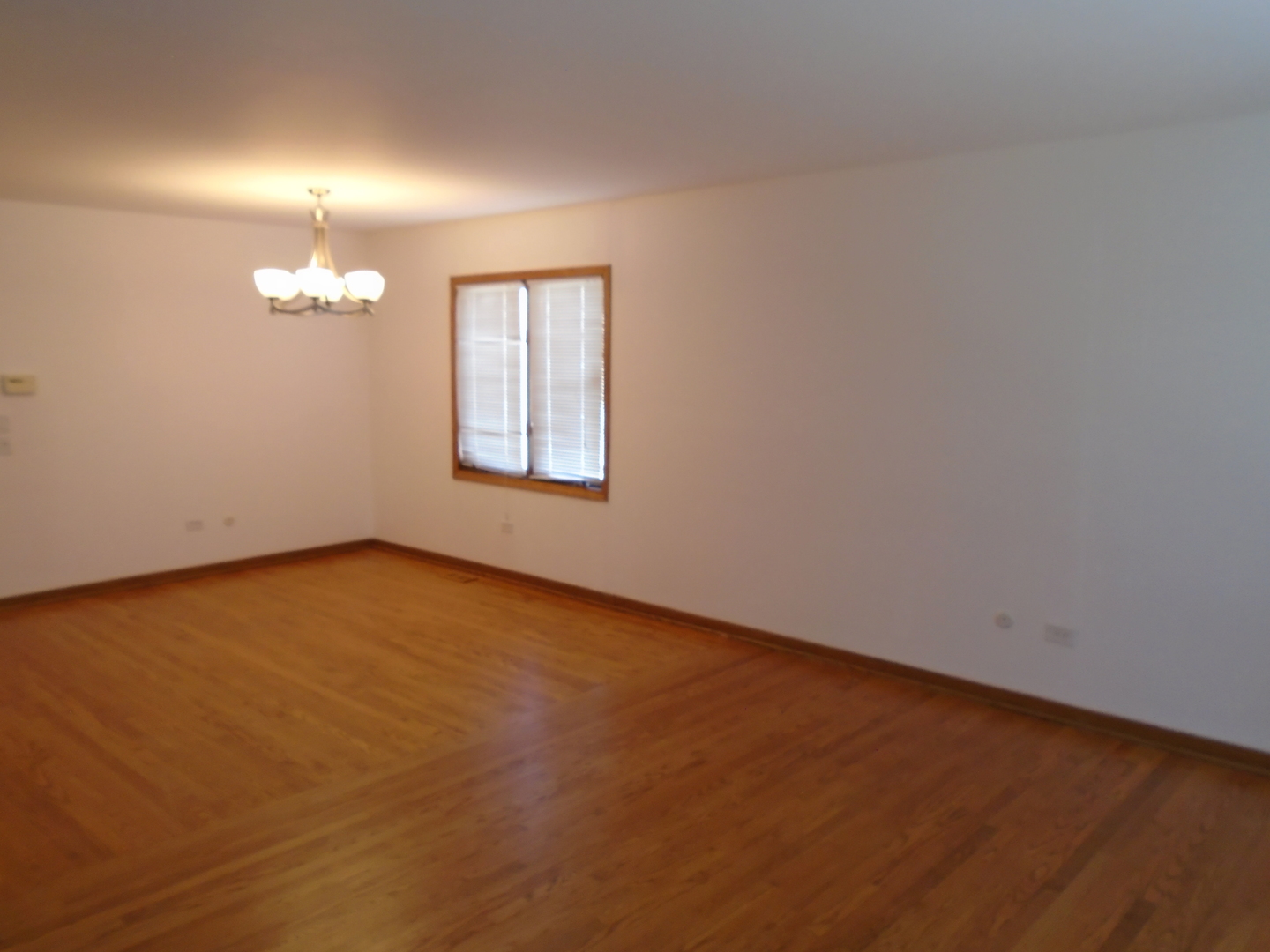 8652 West Sunset Road Niles, IL 60714 - Photo 9 of 20