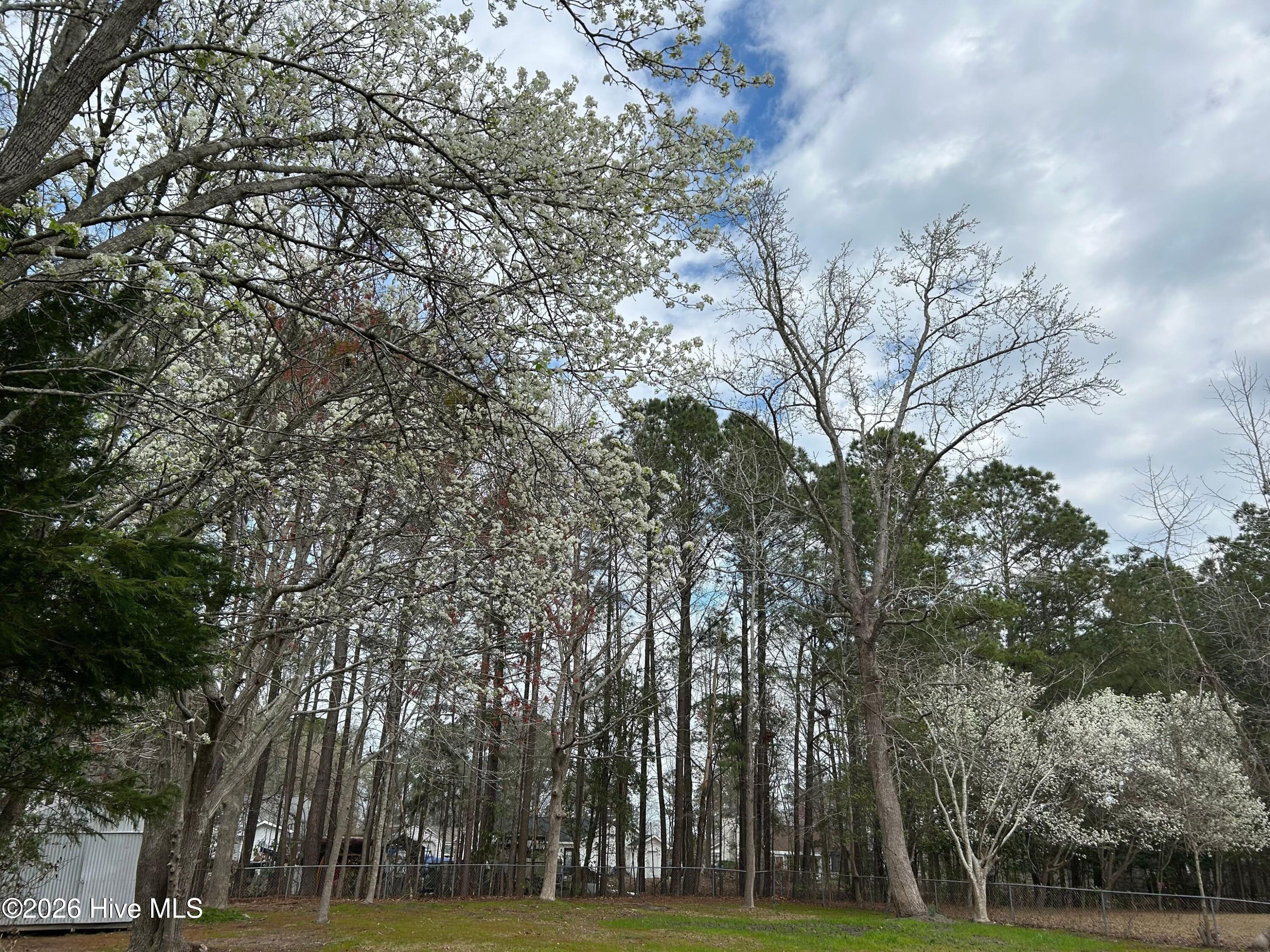 8065 Rachel Wynd Road Northeast Leland, NC 28451 - Photo 15 of 30 .