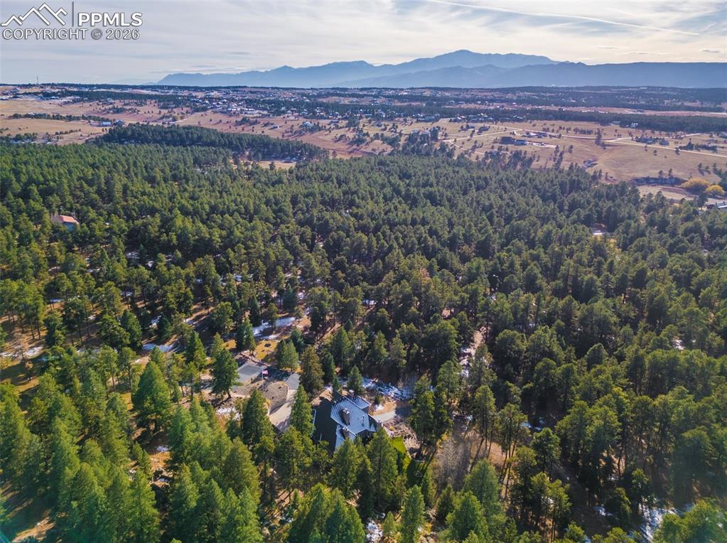 4450 Abert Ridge View Colorado Springs, CO 80908 - Photo 49 of 50 a view of a area with a lush green forest