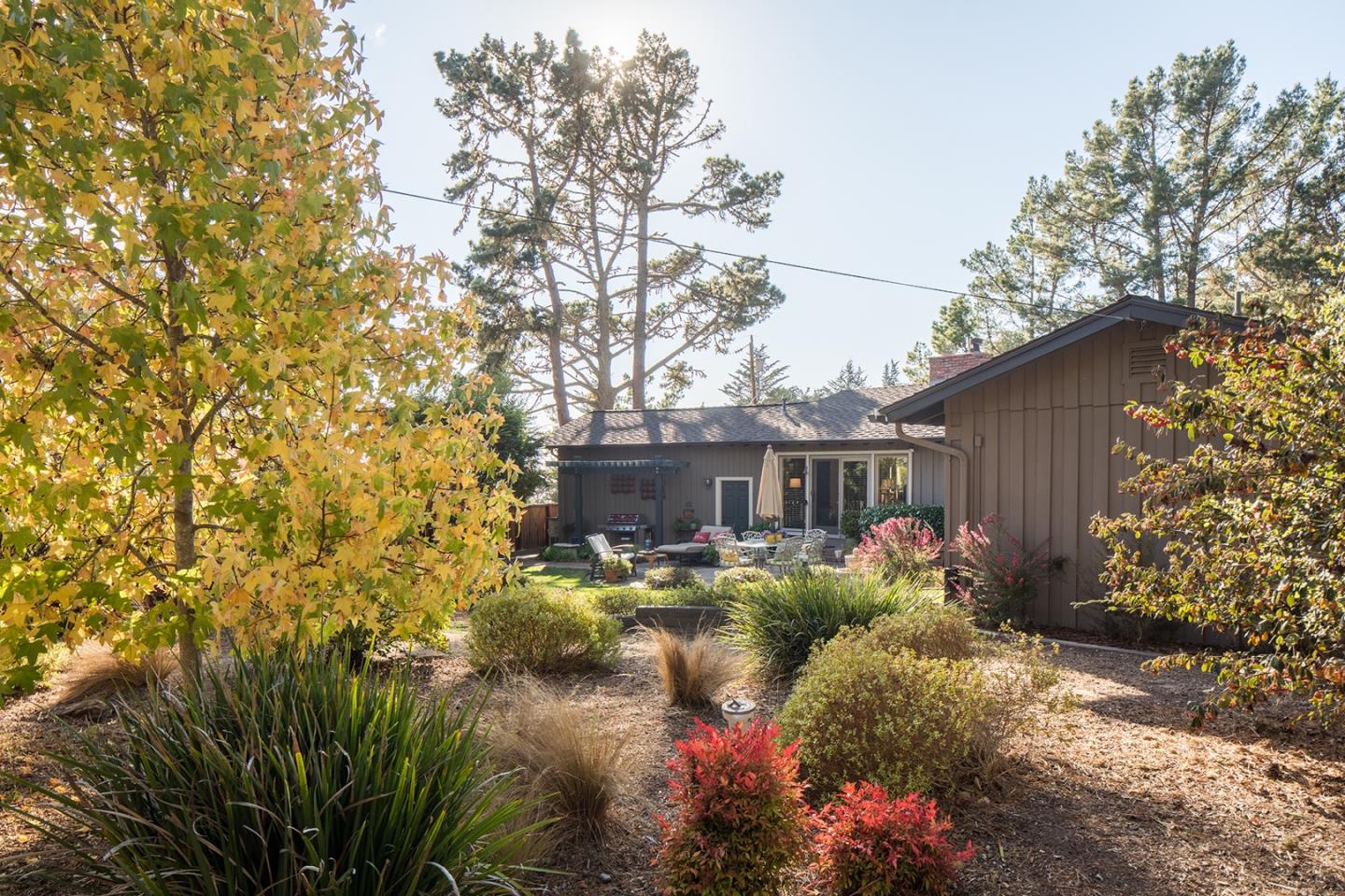 4117 Sunridge Road Pebble Beach, CA 93953 - Photo 22 of 30 a view of backyard with plants and large trees
