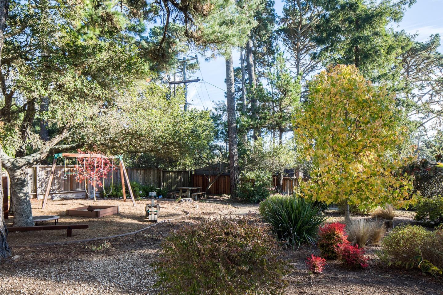 4117 Sunridge Road Pebble Beach, CA 93953 - Photo 24 of 30 a view of backyard with green space
