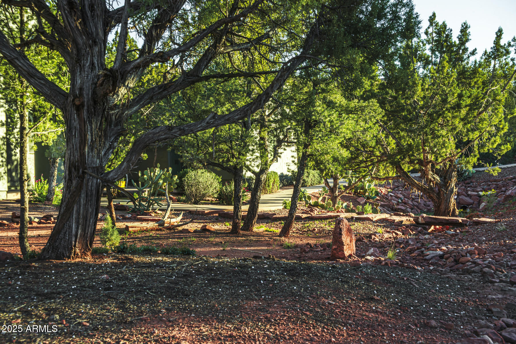 806 West Chapel Road Sedona, AZ 86336 - Photo 6 of 45 Front Yard