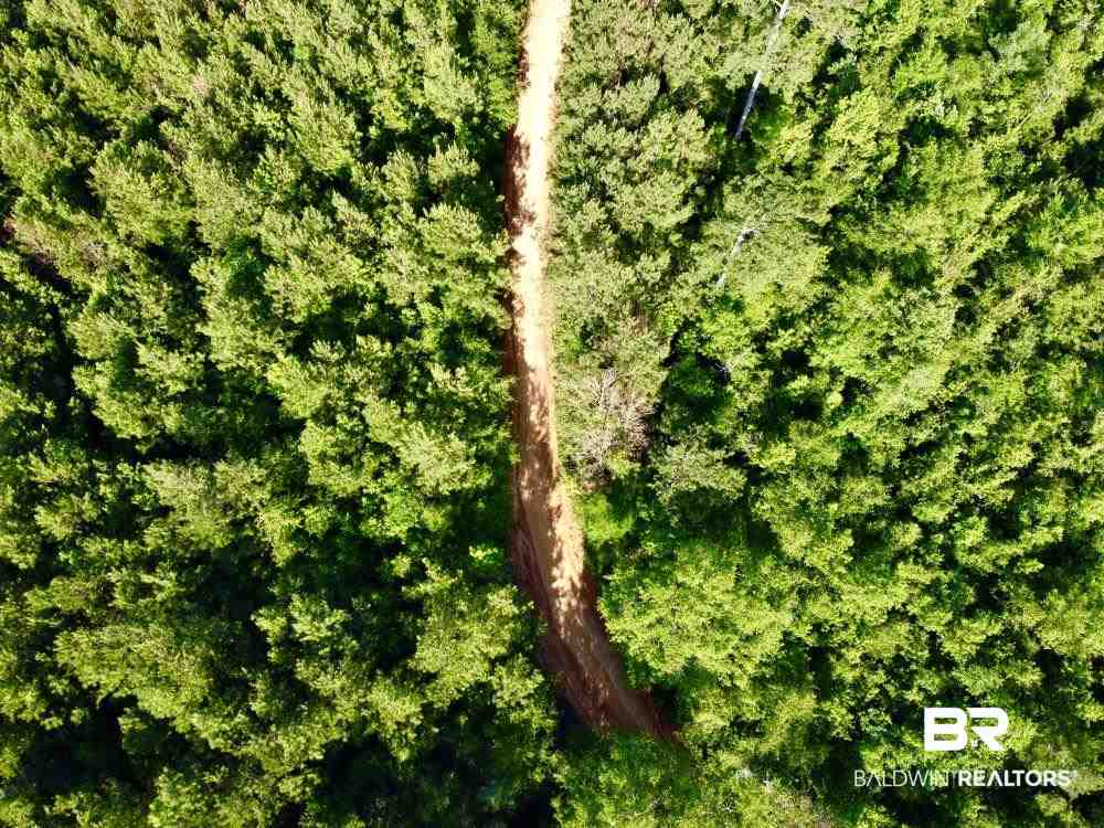 0 Country Road Uriah, AL 36480 - Photo 8 of 49