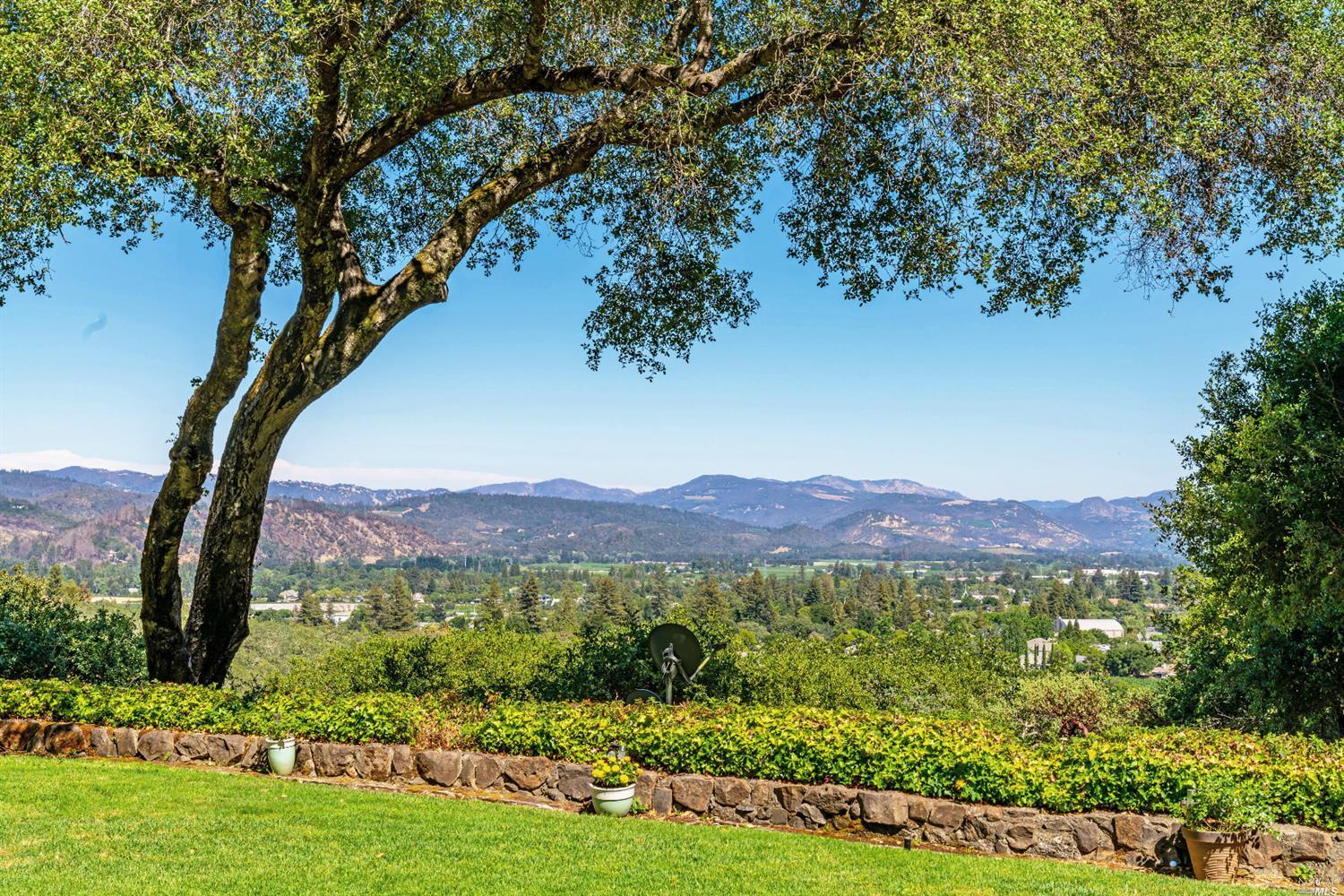 a view of a lush green field with mountains in the background