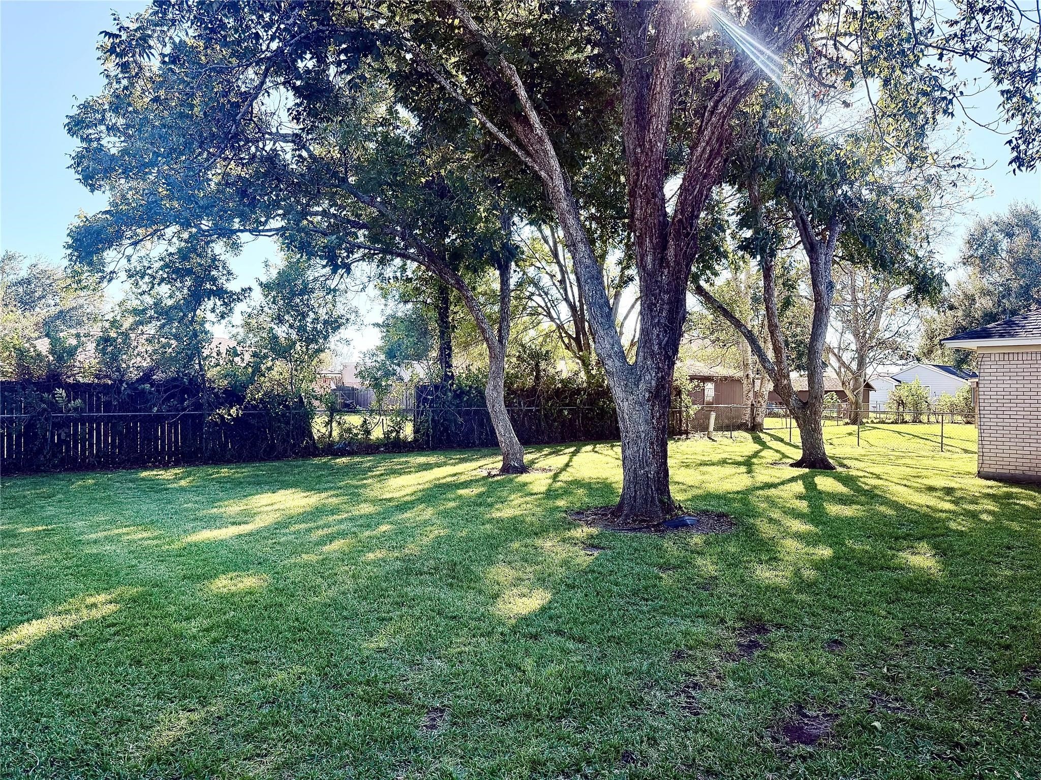 1457 Camellia Street Sweeny, TX 77480 - Photo 29 of 29 a backyard of a house with lots of green space