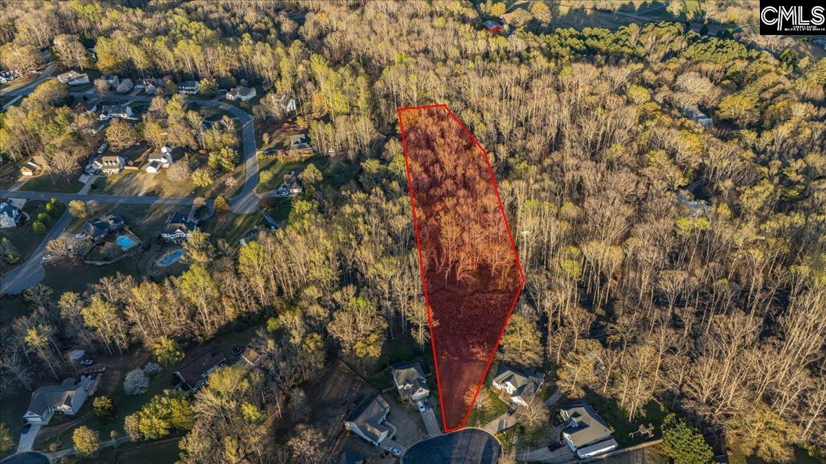 420 Lightwood Farm Road Woodruff, SC 29388 - Photo 7 of 12