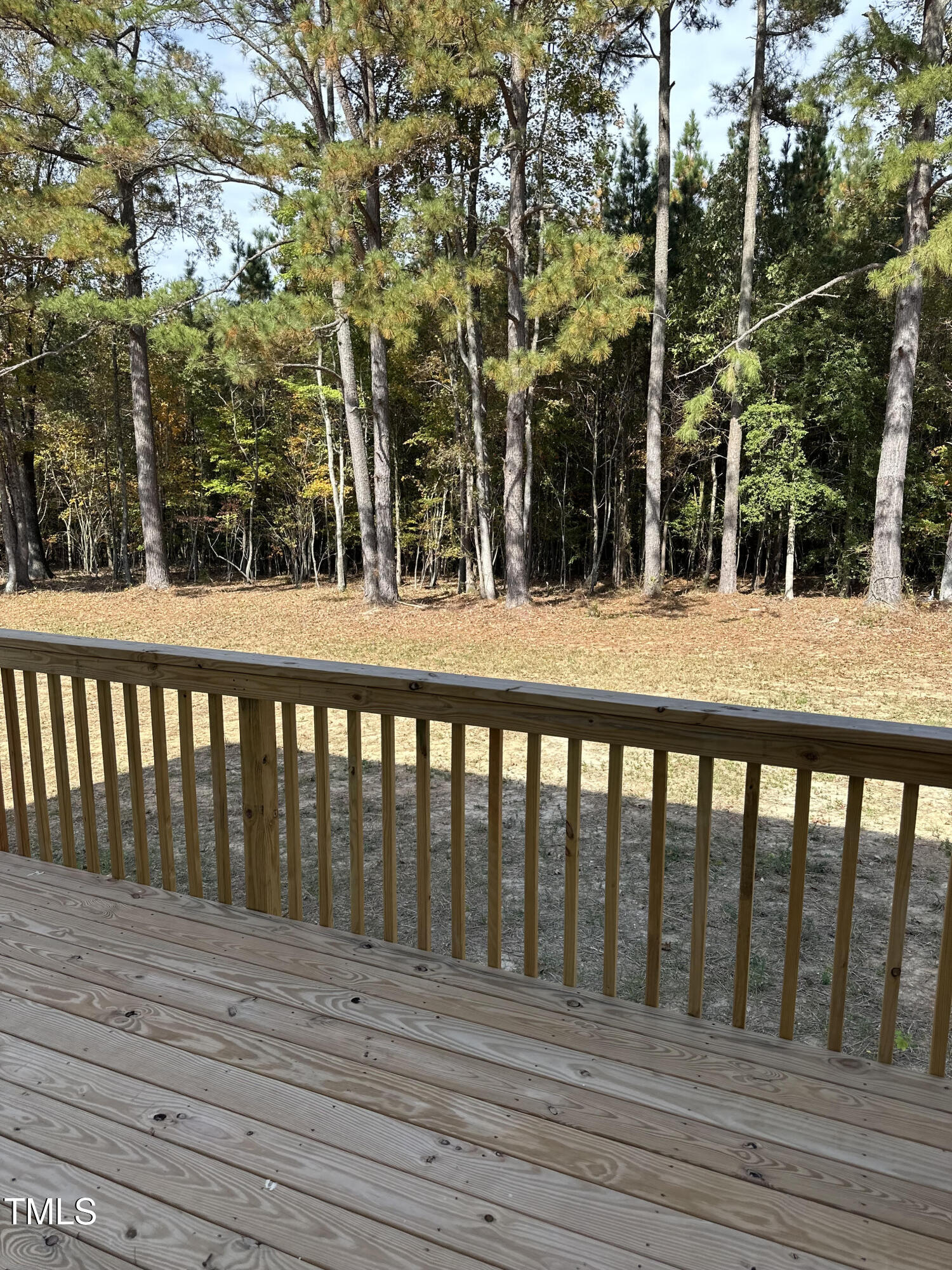 96 Rye Way Wendell, NC 27591 - Photo 11 of 11 unnamed (8)