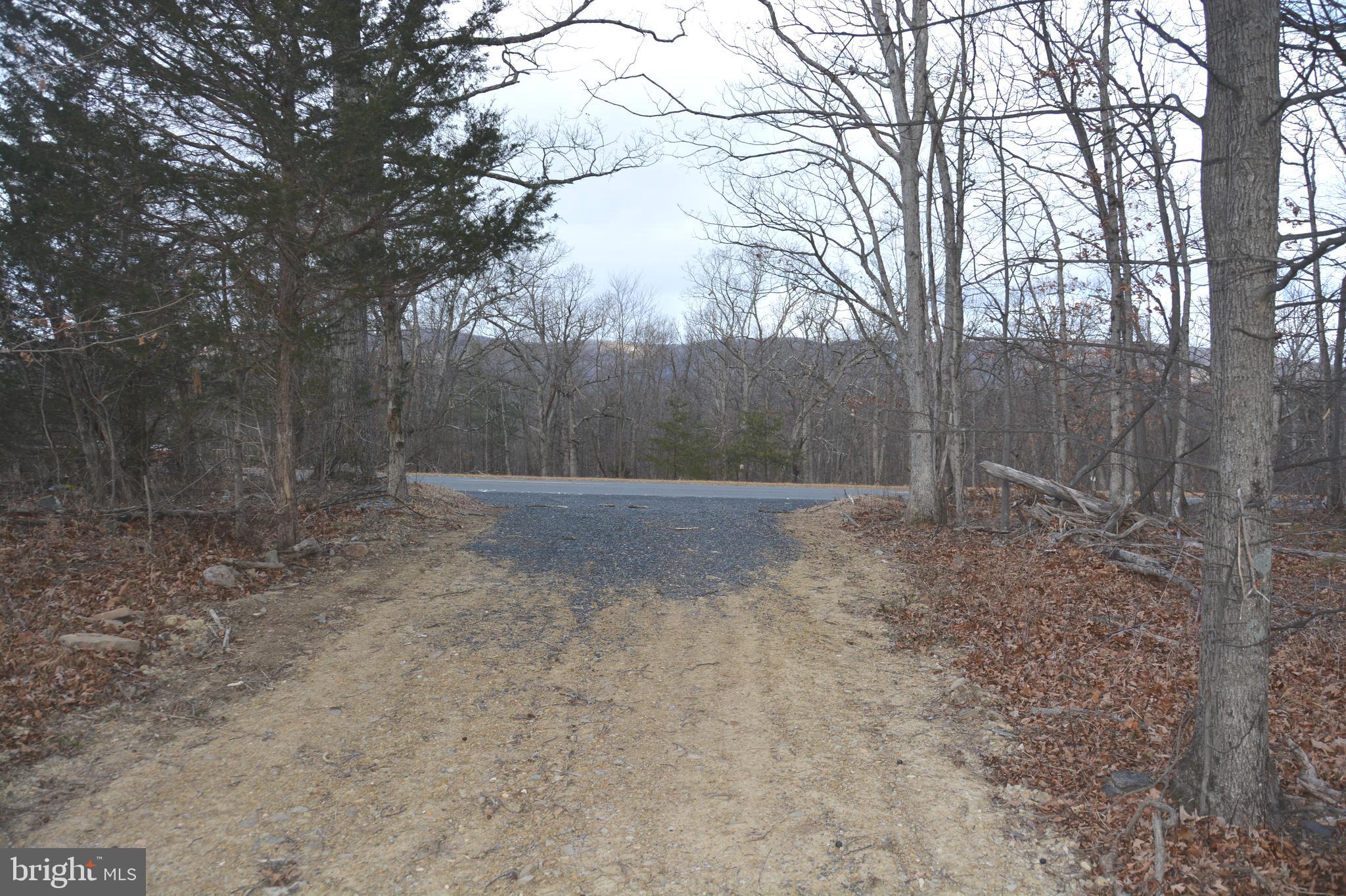 South Timber Ridge Road Cross Junction, VA 22625 - Photo 6 of 7 Driveway exiting to state road