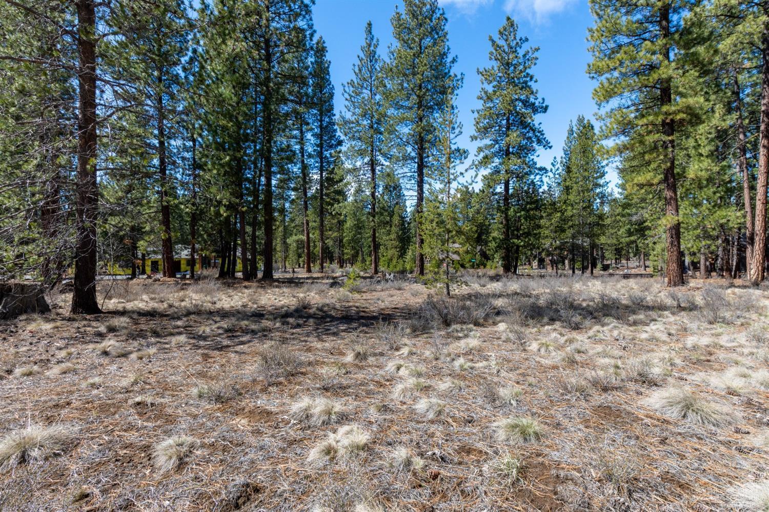 56149 Sable Rock Loop Bend, OR 97707 - Photo 8 of 10 Additional Photo