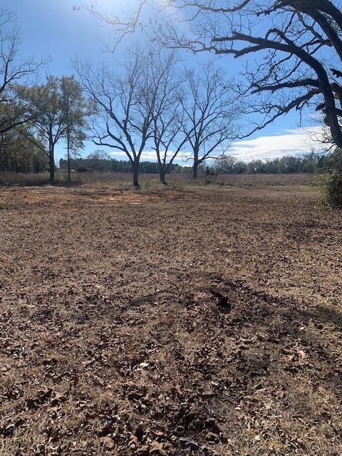 0 Box Road Dothan, AL 36301 - Photo 2 of 7
