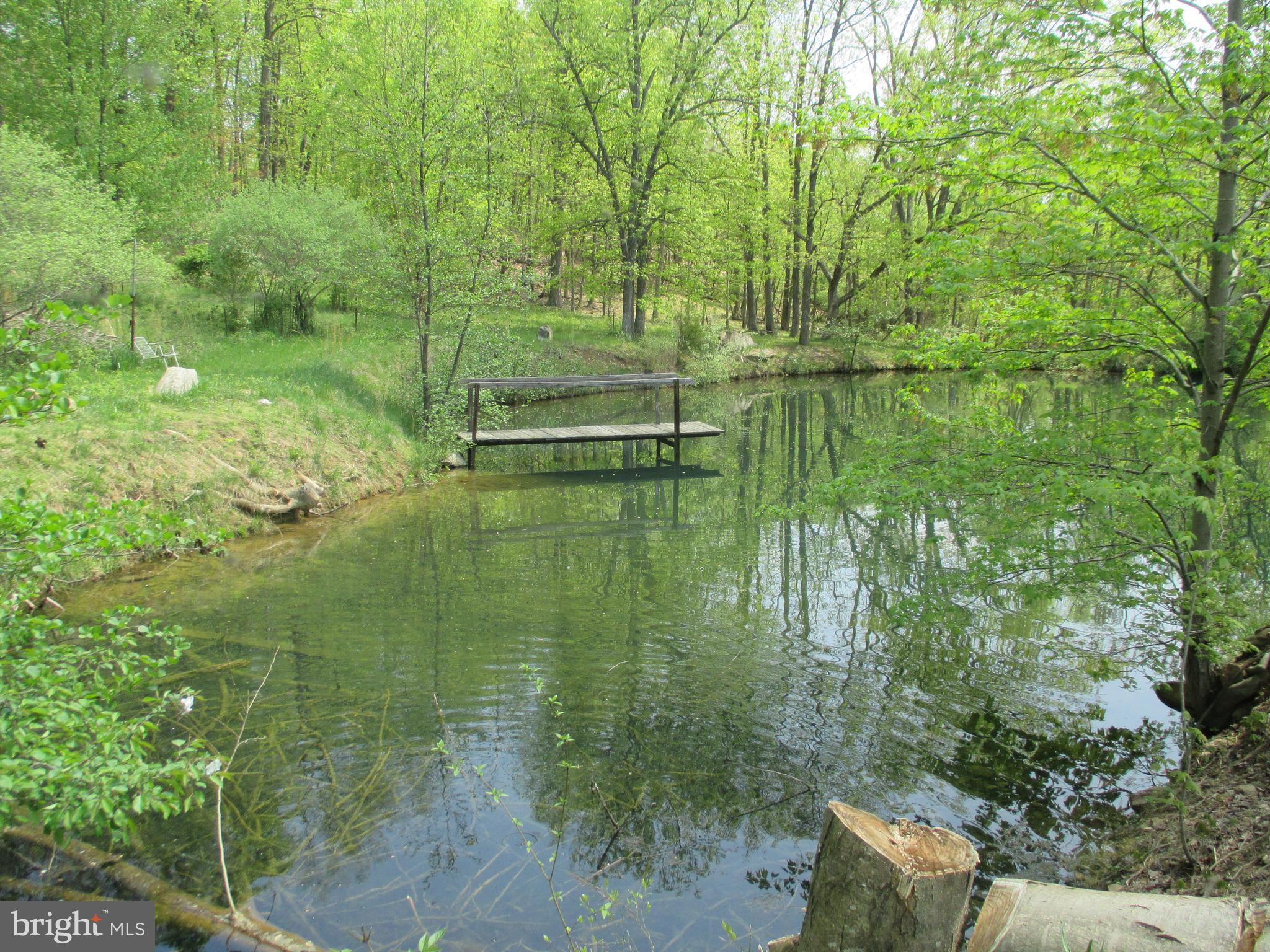 12364 Harvey Road Clear Spring, MD 21722 - Photo 4 of 29 Pond for fishing