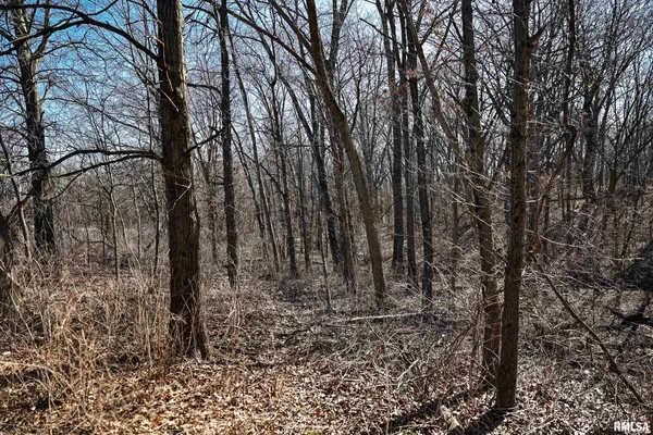 $395,000 | 3065 East County Road 1000, Plymouth, IL 62367