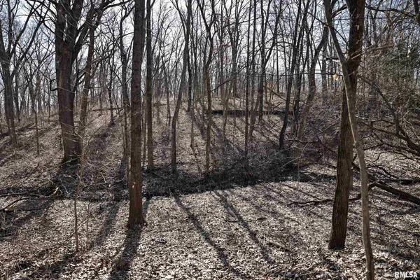 $395,000 | 3065 East County Road 1000, Plymouth, IL 62367