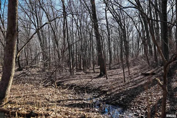 $395,000 | 3065 East County Road 1000, Plymouth, IL 62367