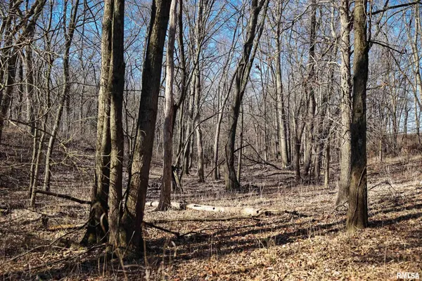 $395,000 | 3065 East County Road 1000, Plymouth, IL 62367