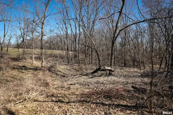 $395,000 | 3065 East County Road 1000, Plymouth, IL 62367