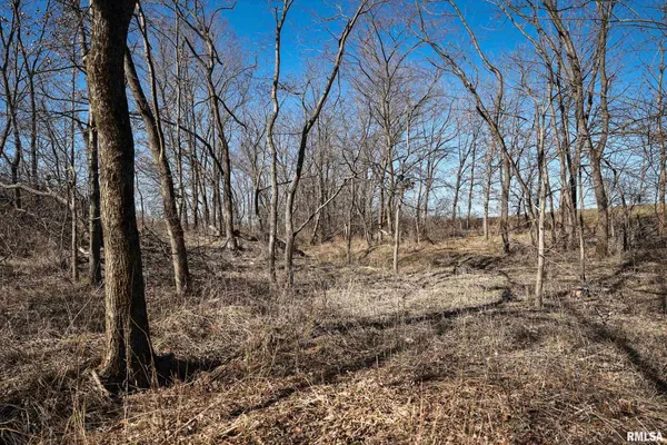 $395,000 | 3065 East County Road 1000, Plymouth, IL 62367