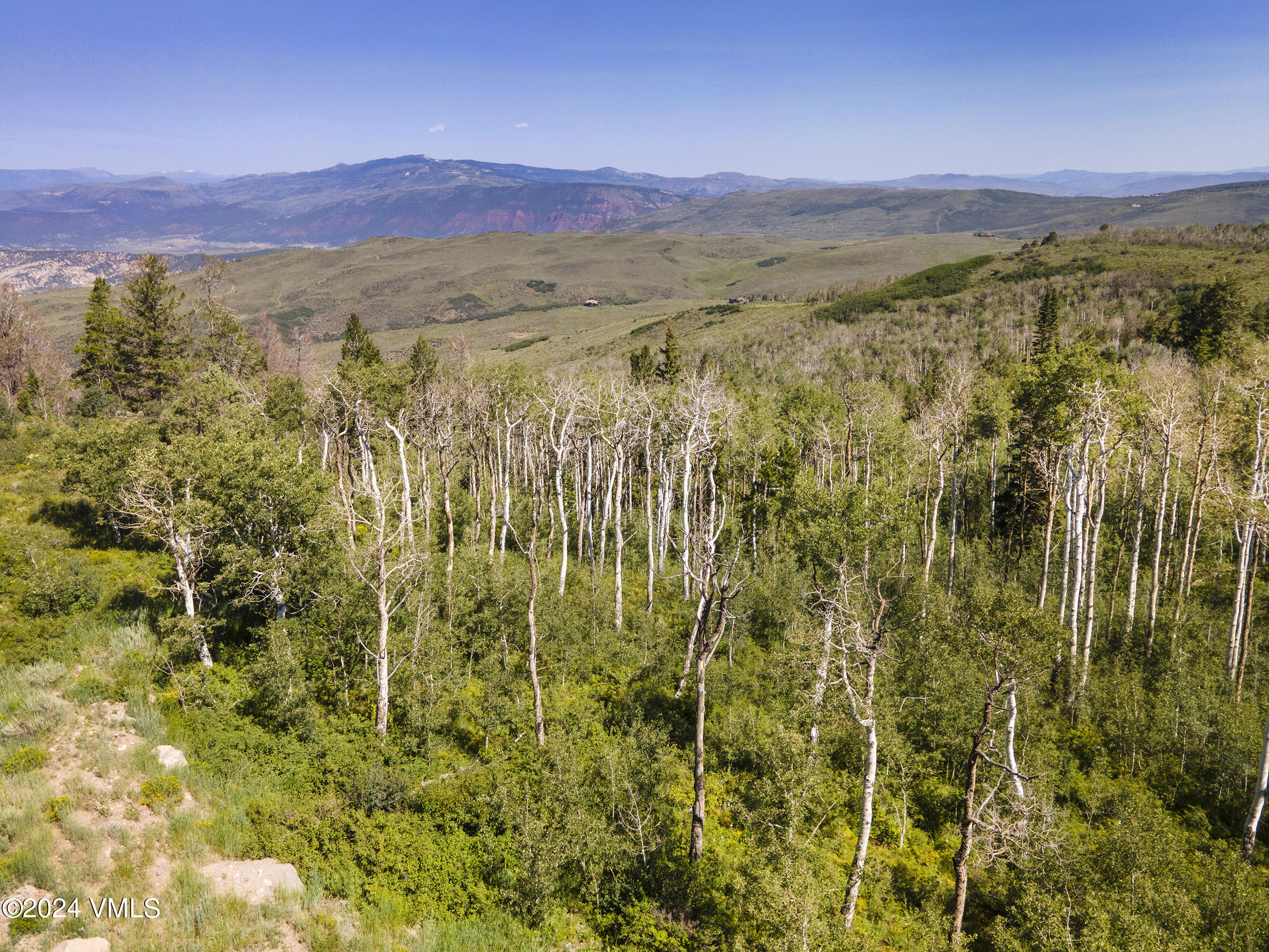 907 Webb Peak Edwards, CO 81632 - Photo 13 of 17 a view of a city with lush green forest