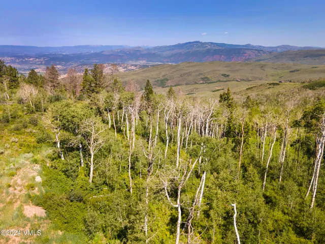 a view of a city with mountains in the background