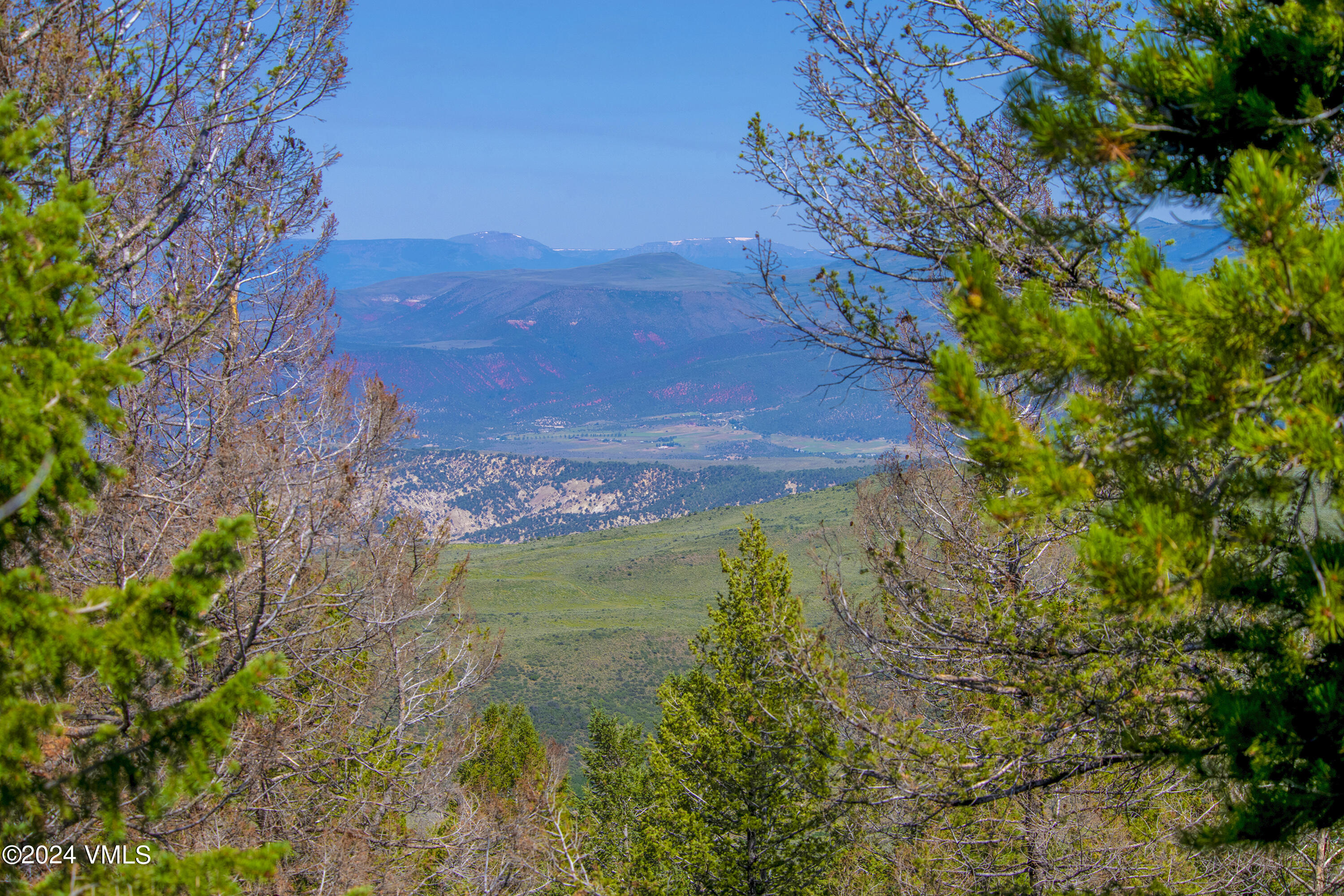 907 Webb Peak Edwards, CO 81632 - Photo 4 of 17 a view of a yard